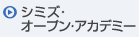 �V�~�Y�E�I�[�v���E�A�J�f�~�[