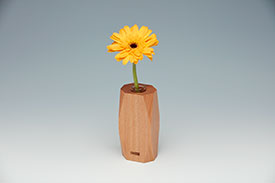 Single‐flower vase