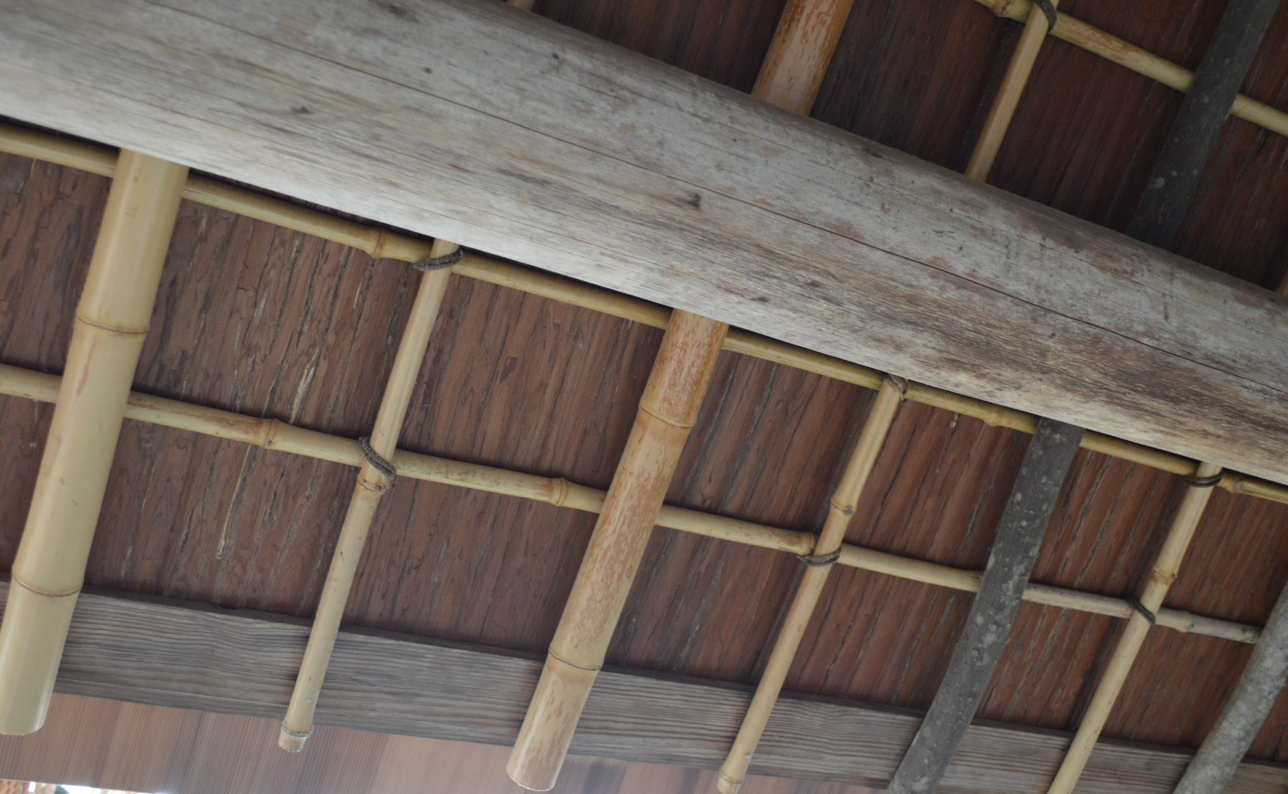 Many tree varieties used for the eave rafters