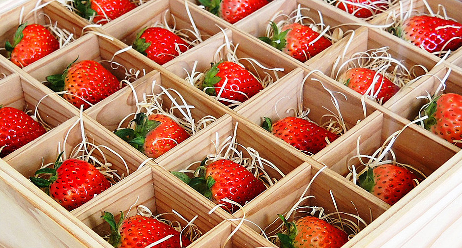Maintaining the Optimal Environment for Growing Strawberries Year-round