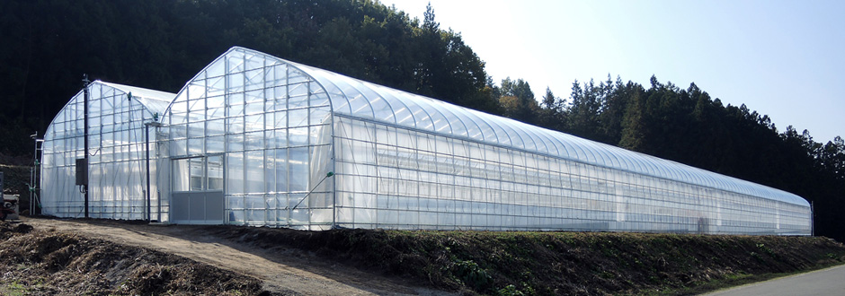 Greenhouses for agricultural use