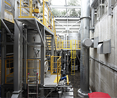 Biomass gasification cogeneration system