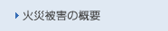 �΍Д�Q�̊T�v