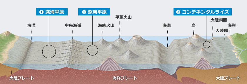 海底の地形から見た立地想定