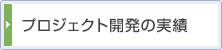 プロジェクト開発の実績