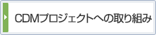 CDMプロジェクトへの取り組み