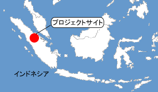 パームオイル工場におけるバイオマス発電プロジェクト（インドネシア）