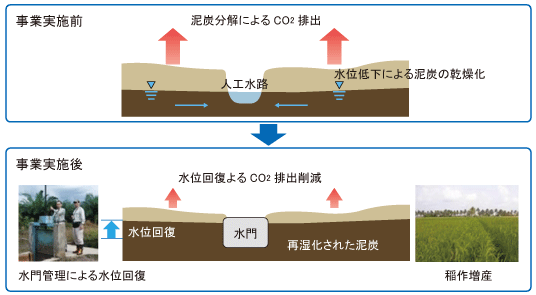 システム図