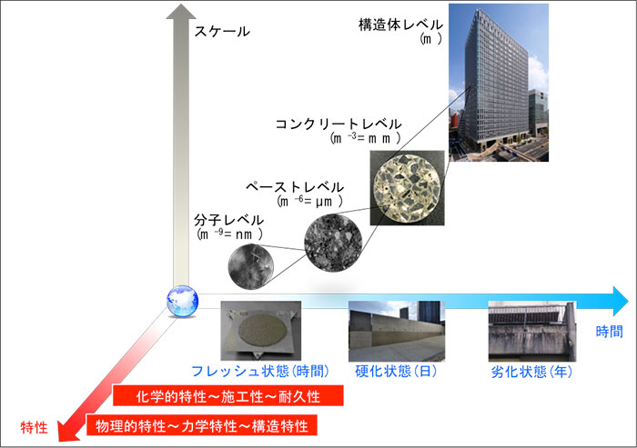 研究の取組み内容