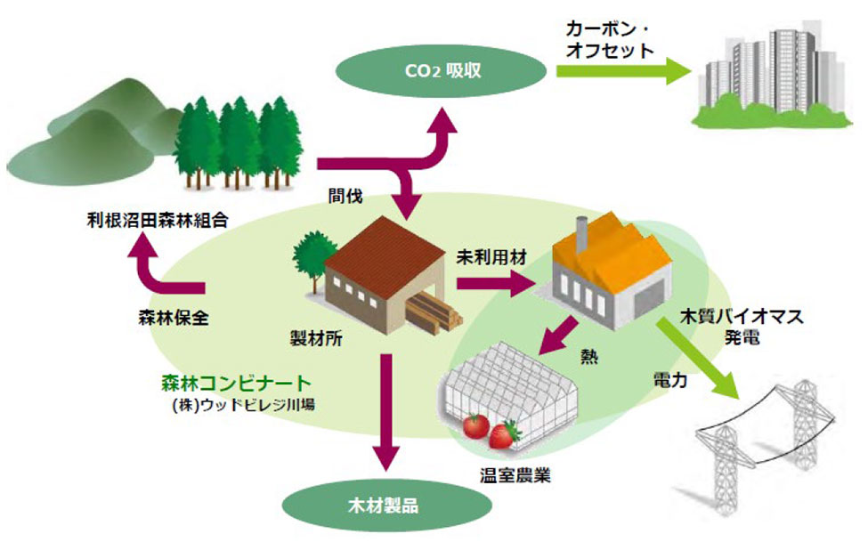 森林資源活用型コンビナート事業