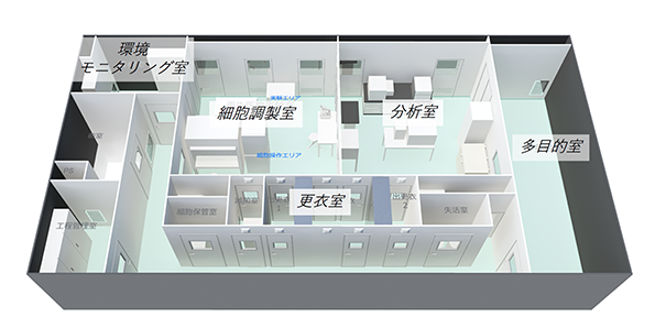 再生医療実験室 S-Cellラボ