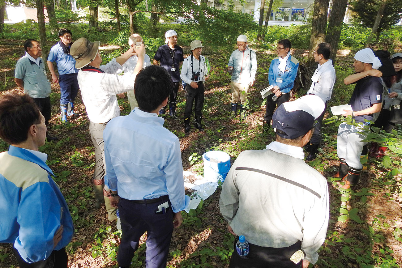 自然観察会の様子