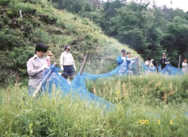 えさ場の整備