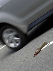 交通事故