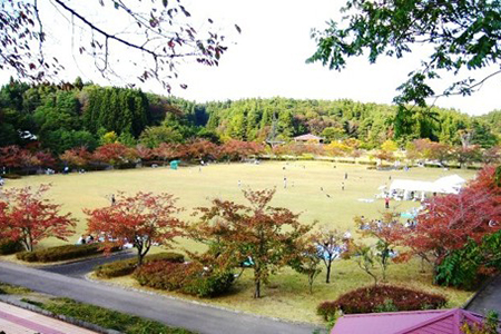 県立小泉潟公園