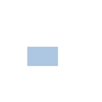 Shadow Regulations