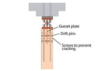 Detailed Cross-sectional View