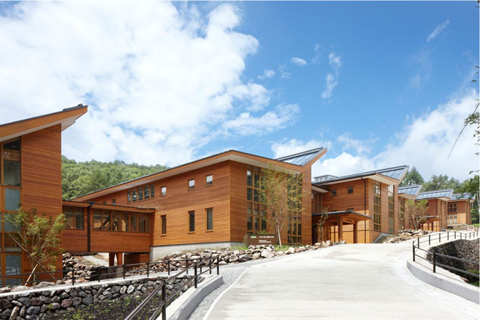 The Office in the Forest