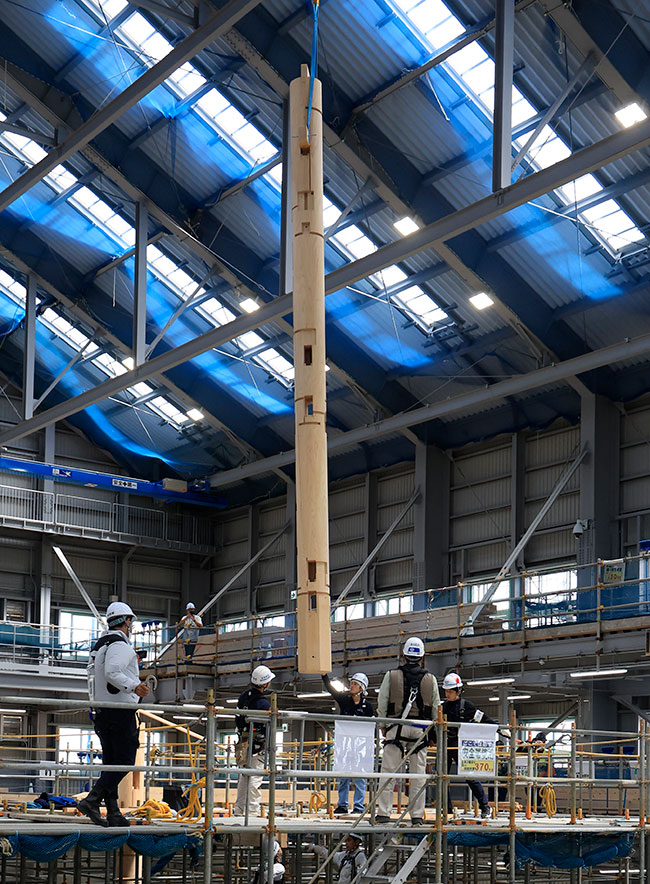 Suspension of the first Japanese cypress column