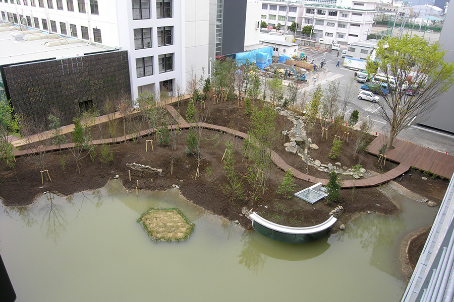 Biotope immediately after its construction in 2006