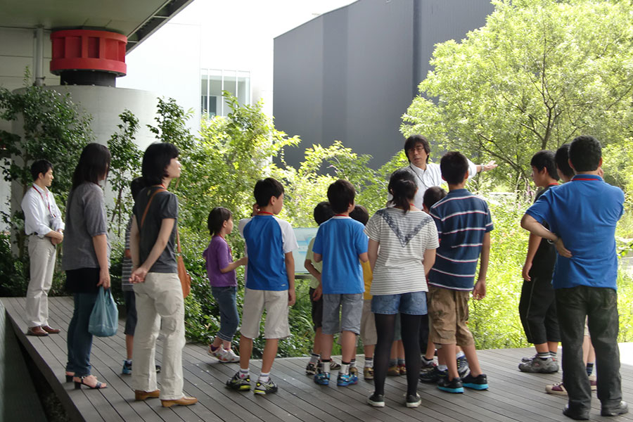 Environmental education session at the biotope