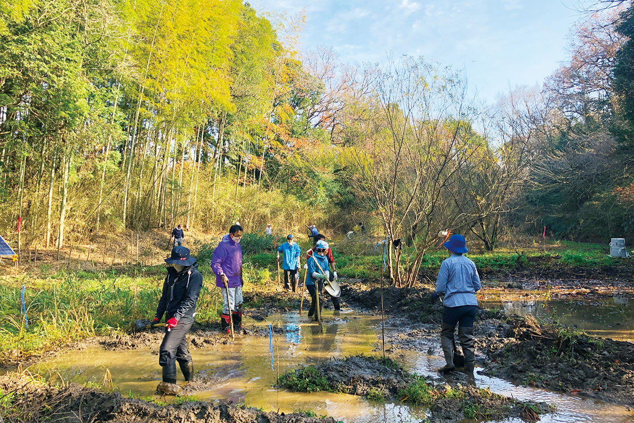 Regeneration Activity at Yatsu