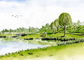 Ecological Landscape