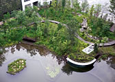 Biotope