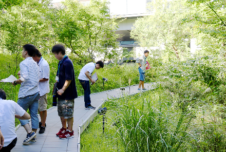 From the Institute of Technology