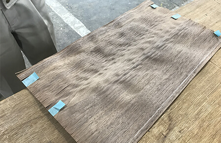 Veneer bundle