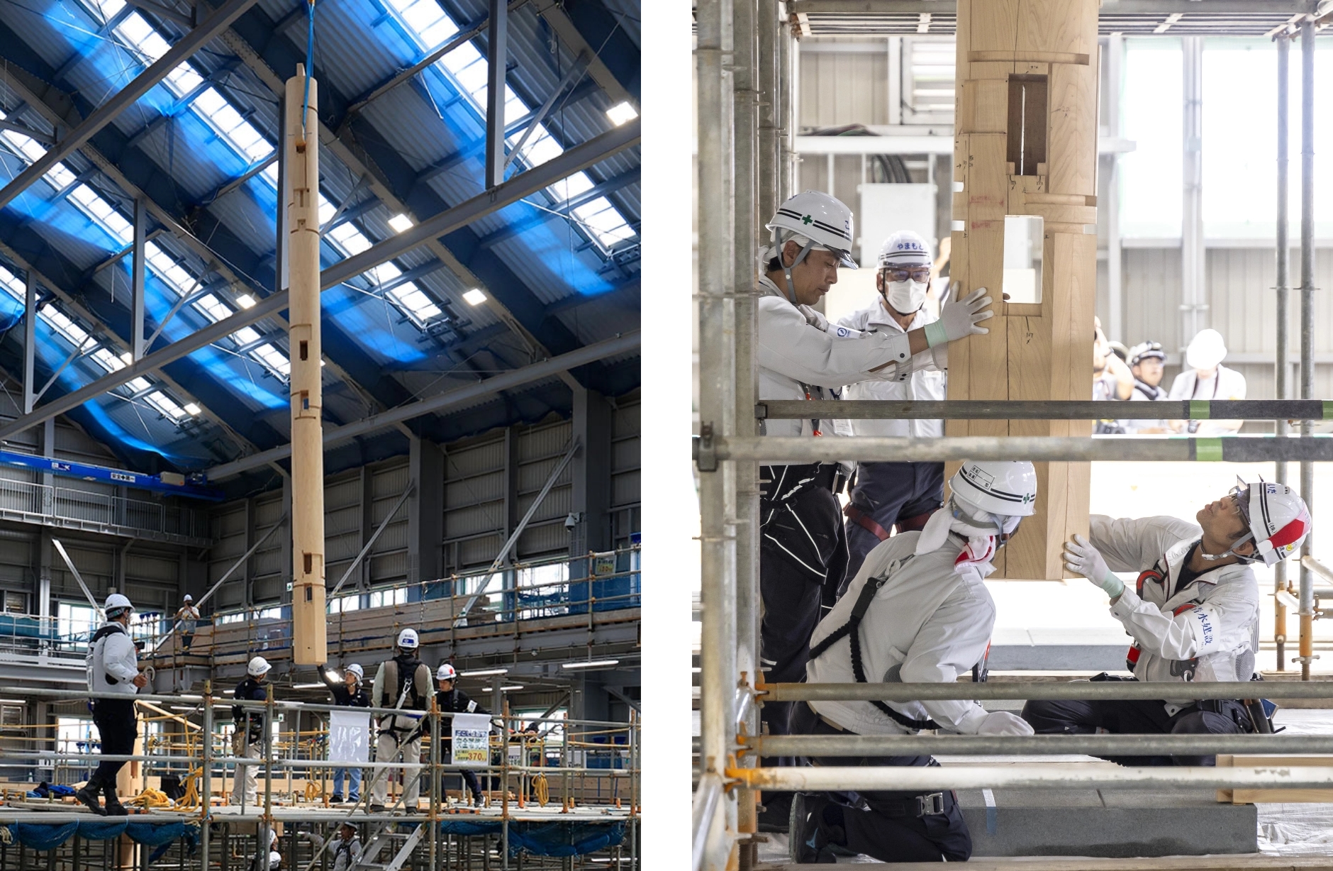 First Japanese cypress column of Main Hall being erected