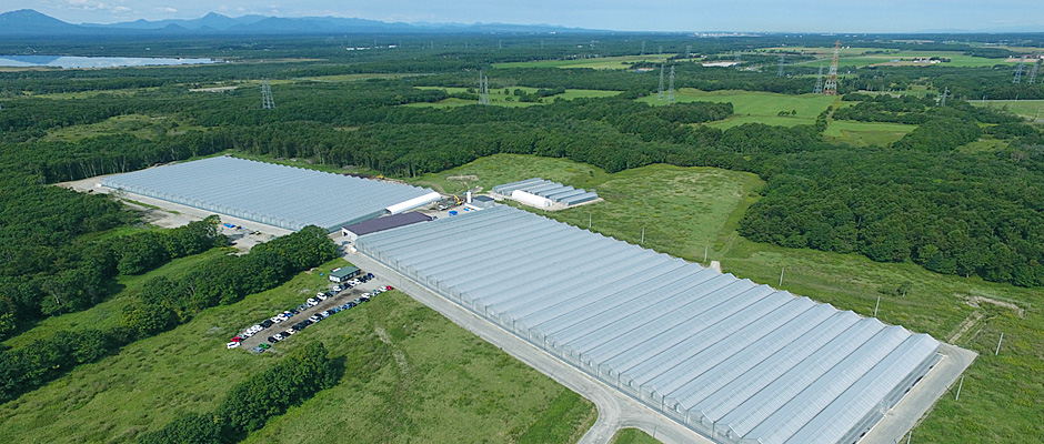 Panoramic View of Tomatoh Farm (photo taken in September 2016) 