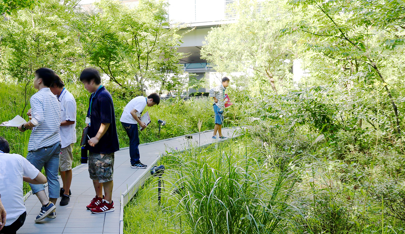 Saisei-no-Mori Urban Biotope Turns 12