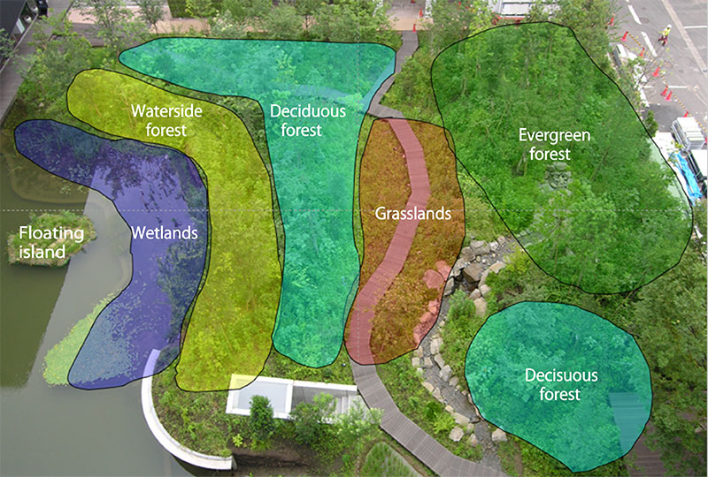 Zoning in Saisei-no-Mori. Saisei-no-Mori (meaning “regenerated forest”) was named after the concept of regenerating the natural biodiversity in urban environments.