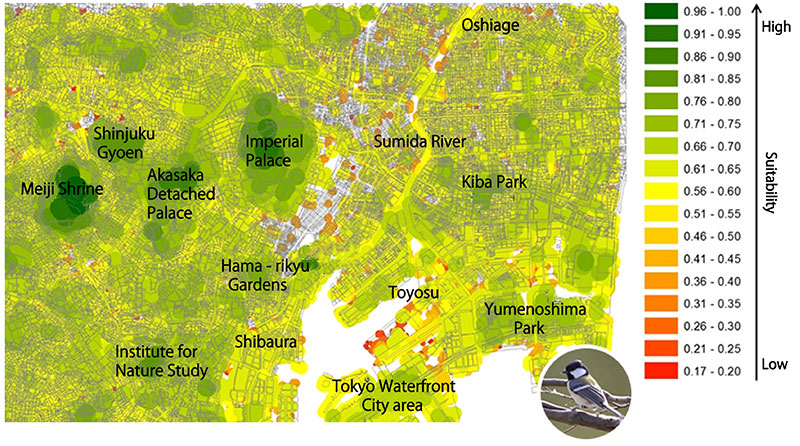 都市生態系ネットワーク評価システム「UE-Net」による、シジュウカラの生息適地ネットワークの可視化例