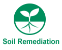 Soil Remediation