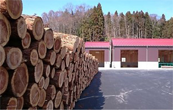 間伐材を活用する製材加工施設