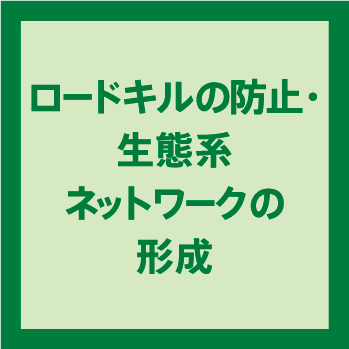 ロードキルの防止･生態系ネットワークの形成