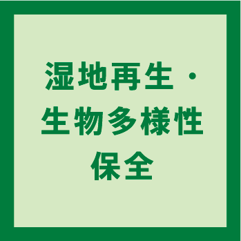 湿地再生・生物多様性保全