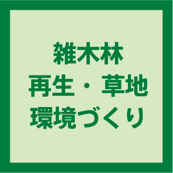 雑木林再生・草地環境づくり