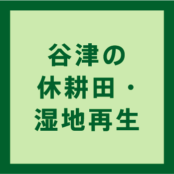 谷津の休耕田・湿地再生