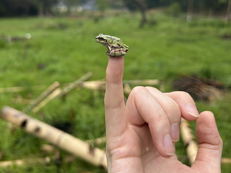 活動の写真