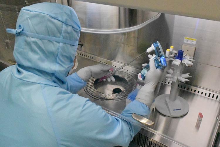 当社の技術研究所内に設けた、再生医療用研究施設（Ｓ-Cellラボ）で行っている培養実験の様子