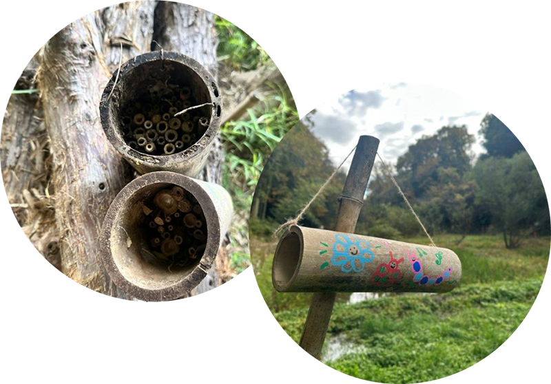 インセクトハウスのイメージ写真