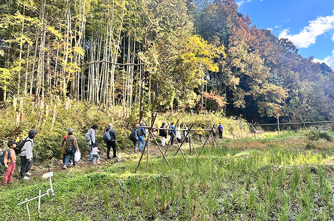 八ツ堀のしみず谷津の中を歩く様子