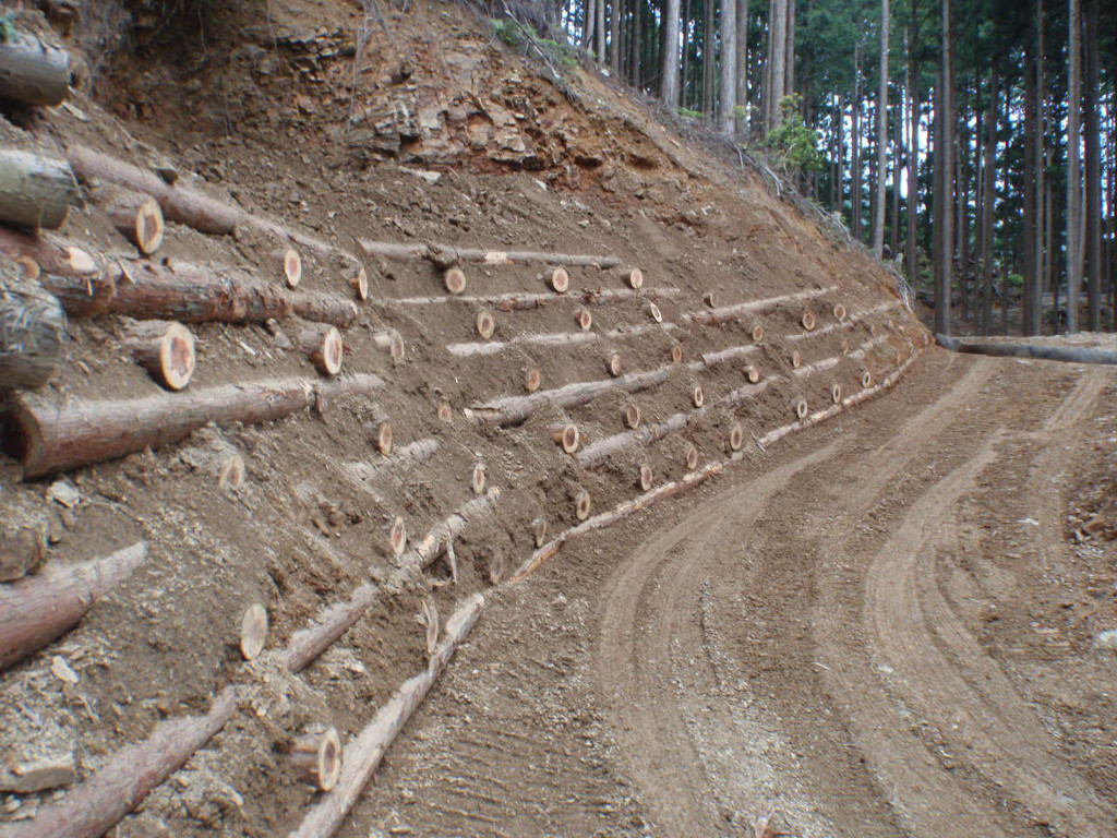 I began working in forestry around 1980, when it was common practice to transport lumber that was harvested in Yoshino by helicopter.