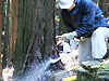 Vol.21 神奈川県丹沢山中で間伐体験を実施