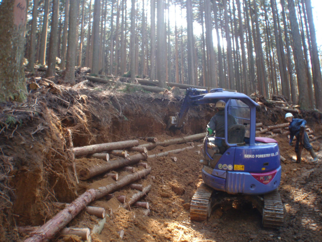 間伐で残した木々の最終伐期は、一般的には40～50年とされていますが、吉野ではこれを80～100年に引き延ばす長伐期施業を行います