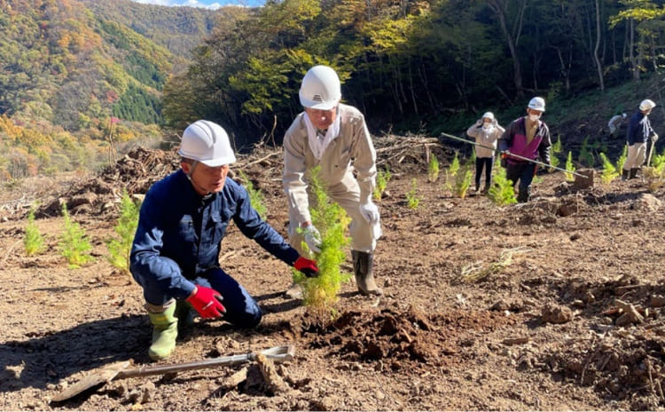 シミズめぐりの森