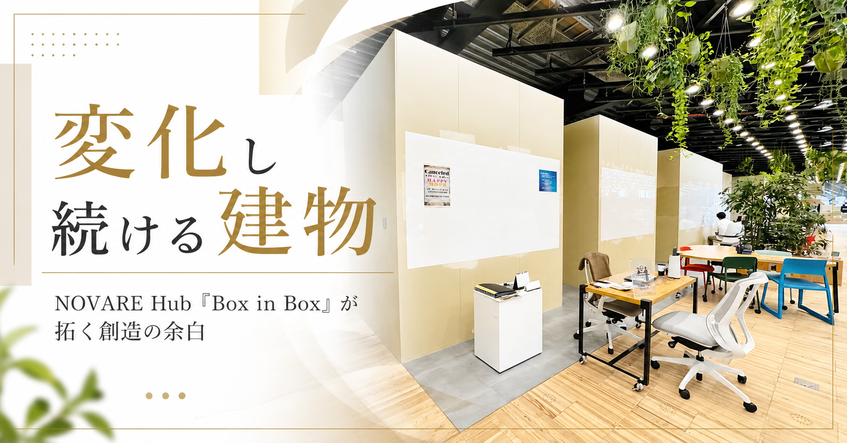 変化し続ける建物──NOVARE Hub『Box in Box』が拓く創造の余白